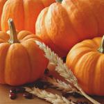 Pumpkin: its beneficial properties and contraindications
